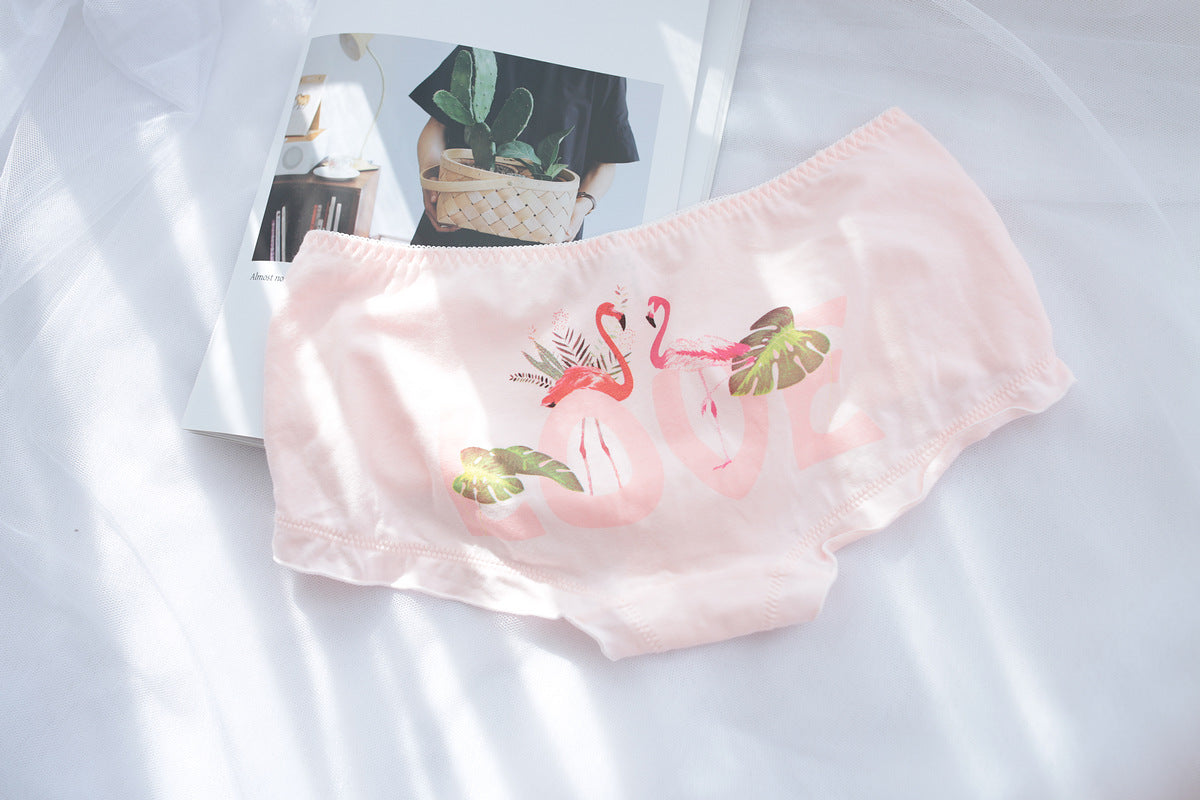 白鳥 パステル 美的 Tumblr キャンディ 日本のかわいい カワイイ スウィーティー ベイビー パンティー