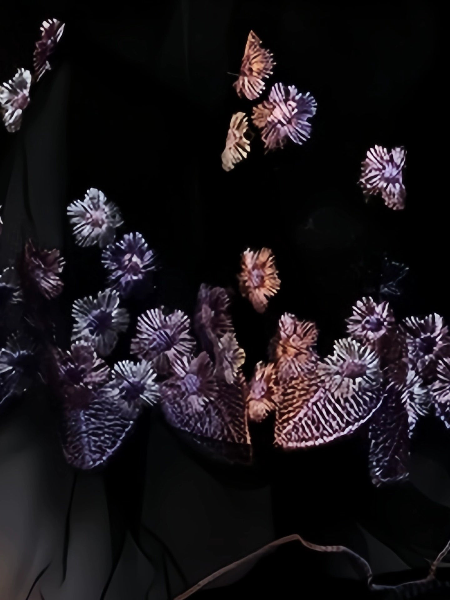 Japanese Lace Sexy Anime Sensual Flower Maid Dress