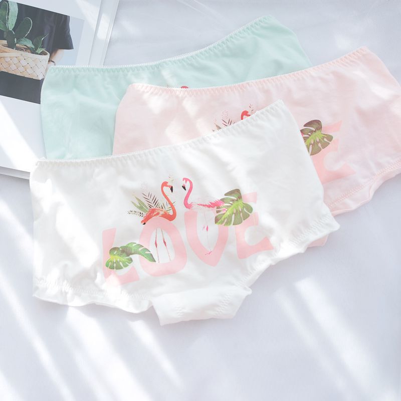 Swan Pastel Aesthetic Tumblr Candy Japanese Cute Kawaii  Sweetie Baby Panty